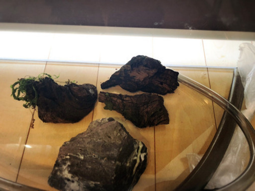 【お取引先決まりました】熱帯魚用　フルセット（交渉可）