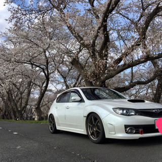 インプレッサ　WRX  STI A LINE    GRF  2.5リッター　オートマの画像
