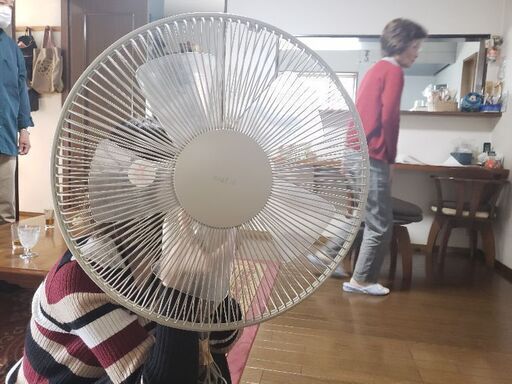 壁掛け扇風機