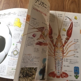 お値下げしました！！ 小学生におススメ！科学、算数 図鑑 3冊セットの画像