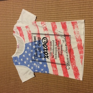 160 カットソー、Tシャツの画像
