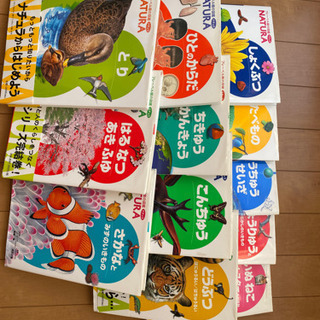 ブレーベル館の図鑑！NATURAの画像