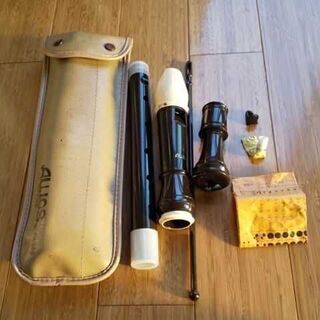 アルオスアルト309、大変お買い得‼️