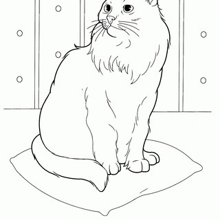 ぬり絵作品募集(とよかわ)
