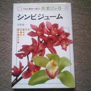 シンビジューム　　の育て方の本