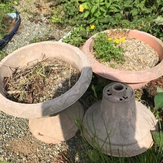 花壇飾り鉢植えプランター（無料）
