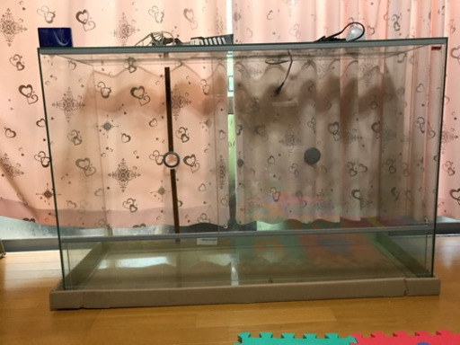 爬虫類、両生類用【温室、飼育ケース】