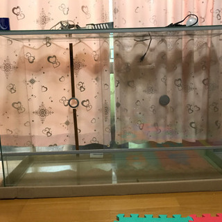 爬虫類、両生類用【温室、飼育ケース】