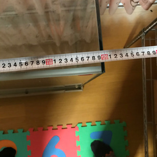 爬虫類、両生類用【温室、飼育ケース】の画像