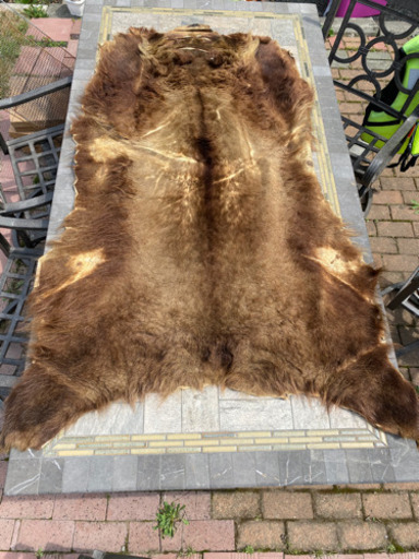 決まりました。