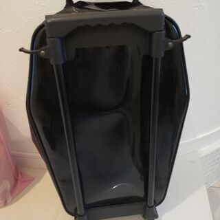 キャリーバッグの画像