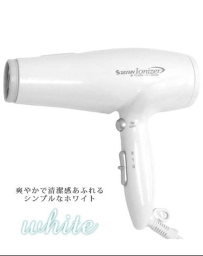 お渡し者確定済み　イオナイザー　IONIZER TS-3200 マイナスイオンドライヤー【新中古】