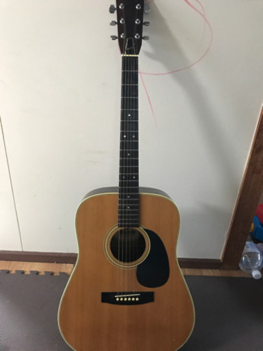 ギター Morris