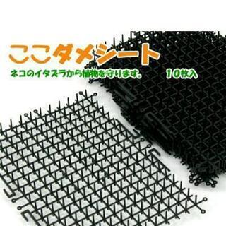 ここダメシート　猫よけ　2袋分20枚