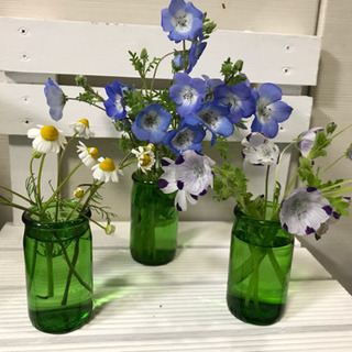 緑のリサイクルガラス瓶