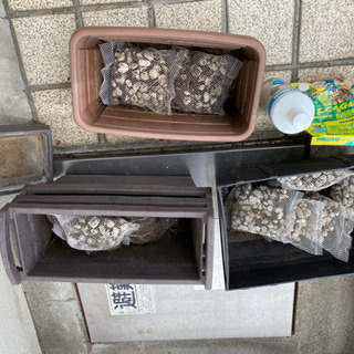 ガーデニング用植木鉢、プランター