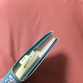 柴田和子　正々堂々のセールスの画像