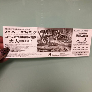 ハワイアンズ　チケット