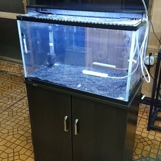 GEX 60cm水槽セット