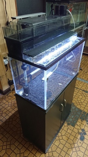 GEX 60cm水槽セット