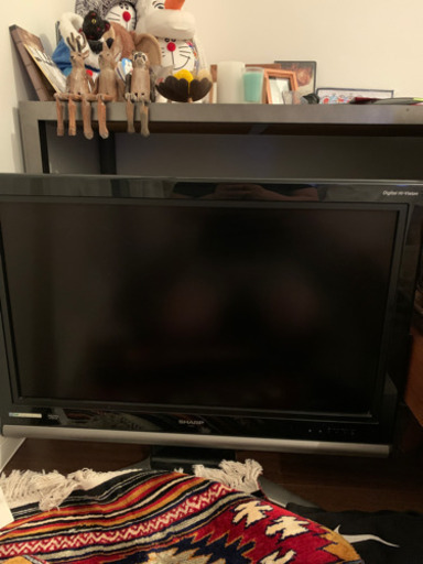 テレビ TV