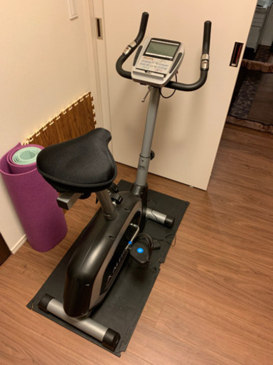 アルインコ　エアロバイク（仮成約済）