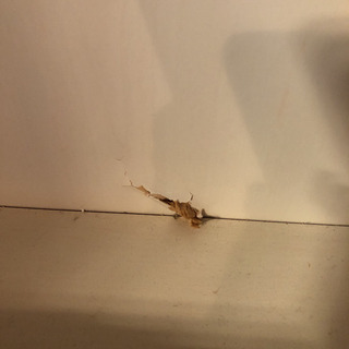 レンジ台　食器棚　カントリー調の画像