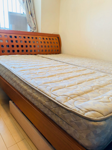 引き取り先決定！ワイドクイーンサイズ