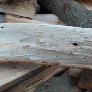 【1組様50kgまで】広葉樹の薪！長さ29cm。含水率17％程度。茨城県潮来市。の画像