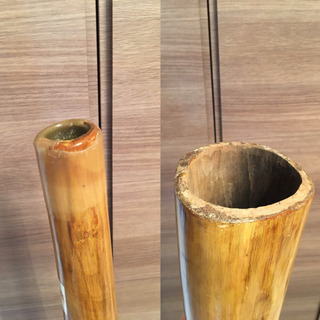 【ディジュリドゥ】の画像