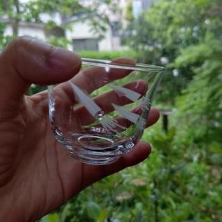イカ娘も喜ぶ切り子、烏賊の冷酒グラス
