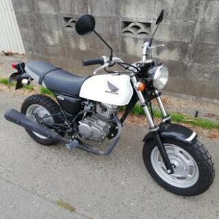 APE 100　美品