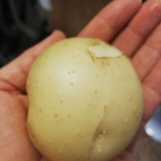 近江八幡市家庭菜園用スペースを貸していただけませんか
