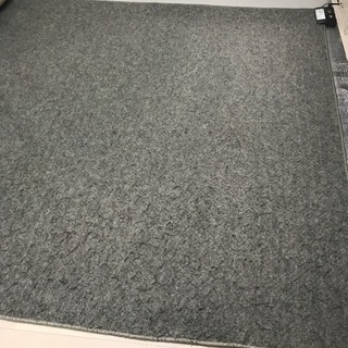 激安！大判ホットカーペット３００円【お取引の方決まっています！】