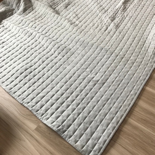 ニトリで購入したマットの画像