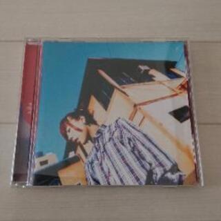 aiko CD 桜の木の下