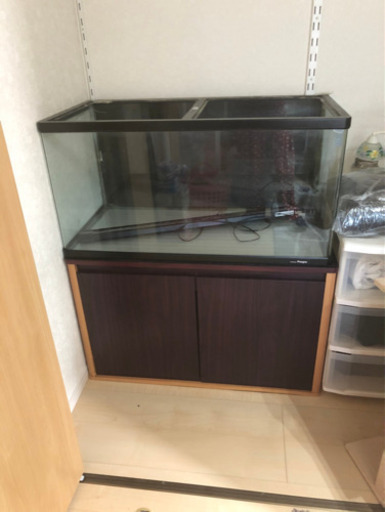 GW限定　90cm水槽一式セット