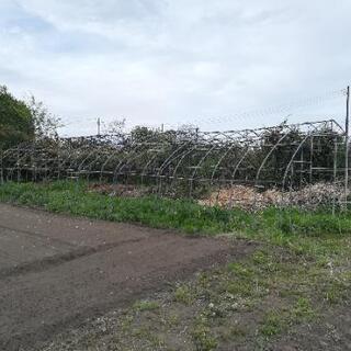 ビニルハウス　骨組みの画像