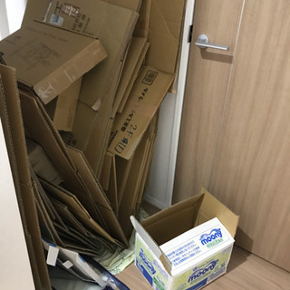 大量ダンボール 30箱以上 5/10以降処分