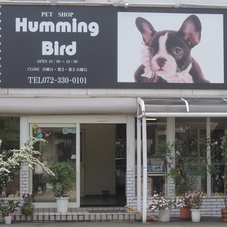 スタッフ募集　子犬の世話　犬舎の清掃　勤務日 平日・土日　2日～4日程 勤務時間10時～13時　10時～17時　時給１，１００円＋能力給の画像
