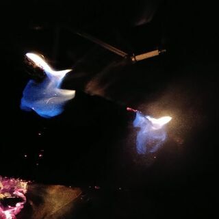 【1組様50kgまで】広葉樹の薪！長さ29cm。含水率17％程度。茨城県潮来市。の画像