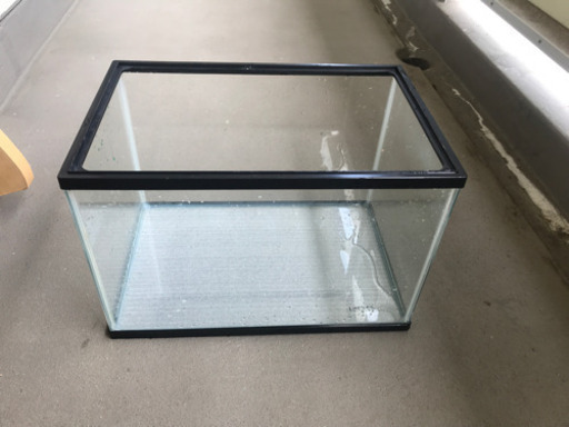 45㎝水槽　観賞魚　熱帯魚