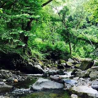 広島県　渓流釣り仲間募集