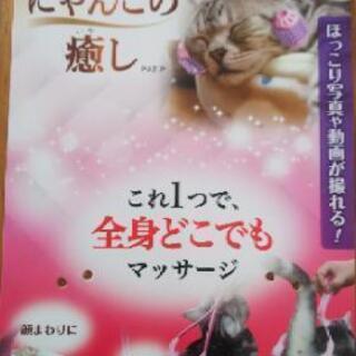 猫用マッサージ にゃんこの癒しの画像