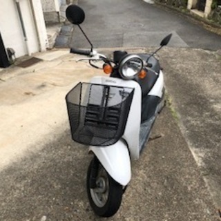 HONDA TODAY トゥデイ 原付 絶好調！　の画像