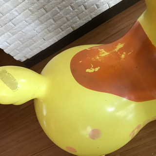 ロディ　の画像