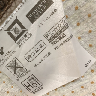 薄めのアクセントラグ の画像