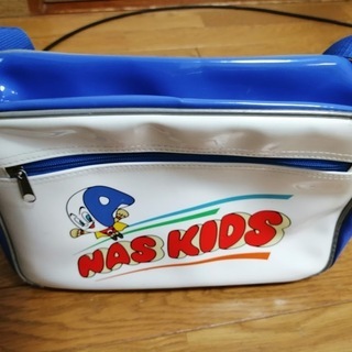 NASプールバッグの画像