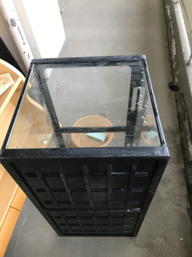 観賞魚　水槽