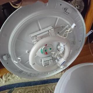 シーリングライト 無料 5/9までの画像